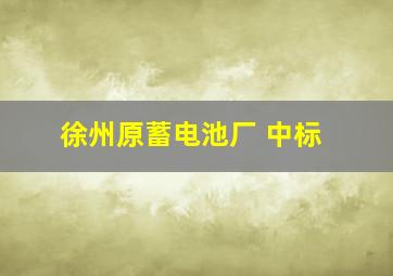 徐州原蓄电池厂 中标